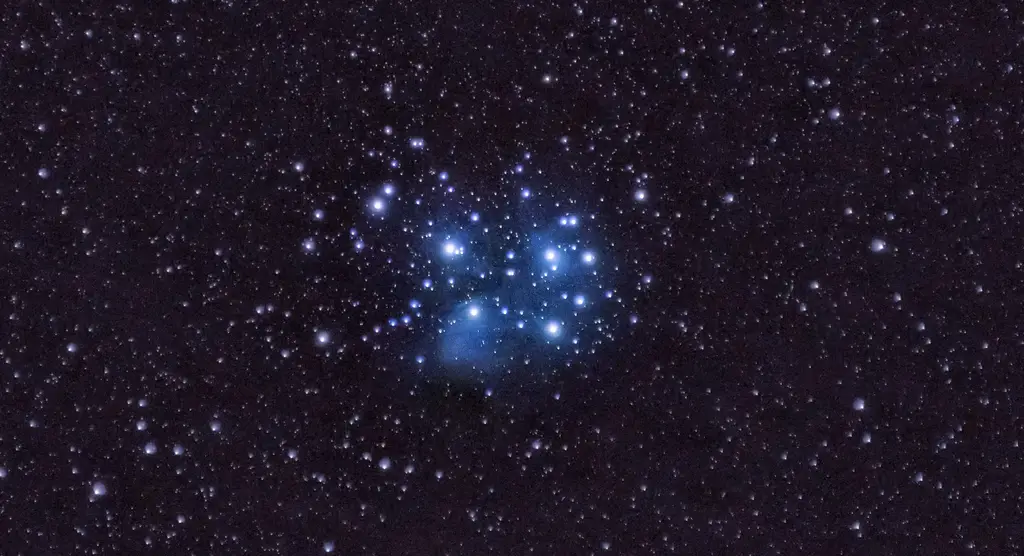 Pixel7：手機攝影的旗艦霸主，用影像捕捉台灣之美